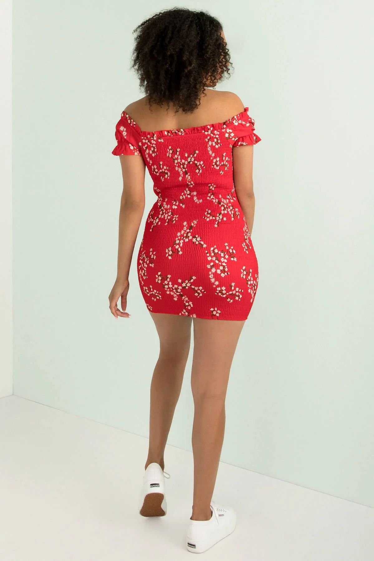 Belle Dress / Red Floral