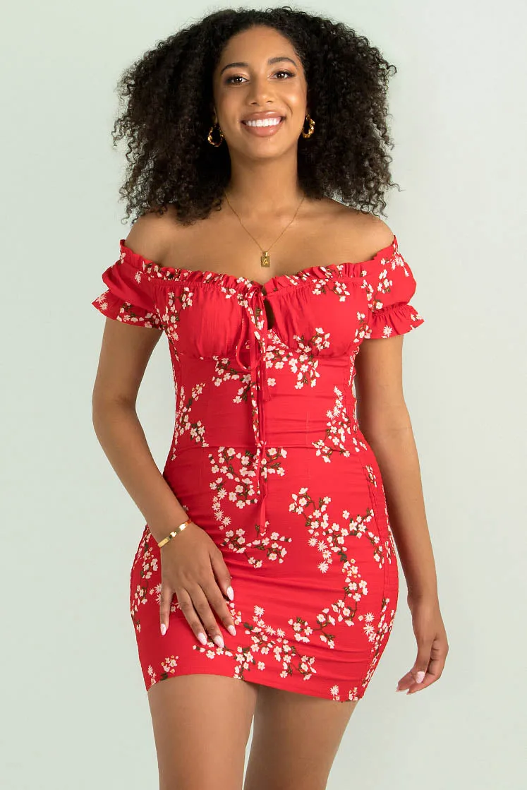 Belle Dress / Red Floral