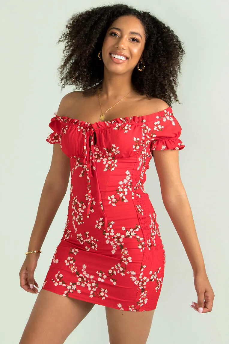 Belle Dress / Red Floral