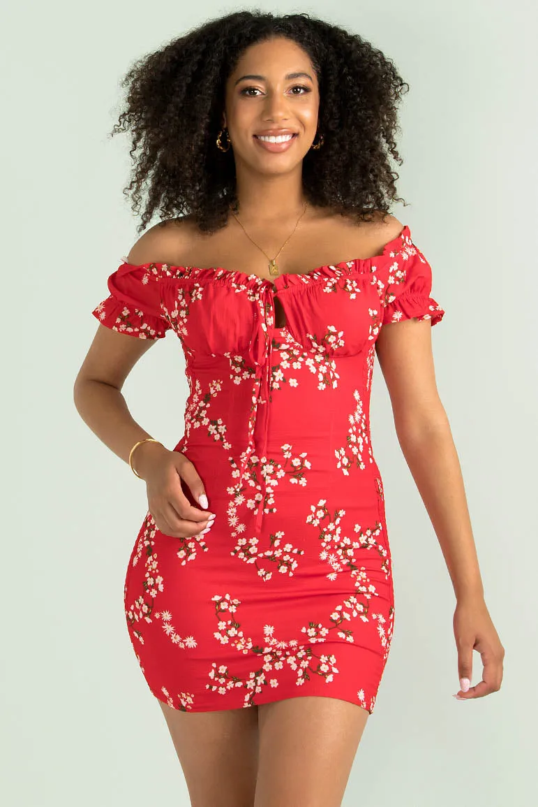 Belle Dress / Red Floral