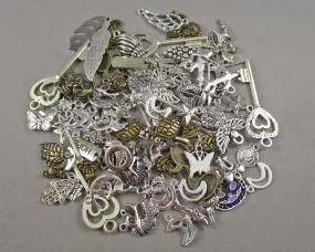 Mixed Charms for Jewelry Making - 50 grams (C062**)