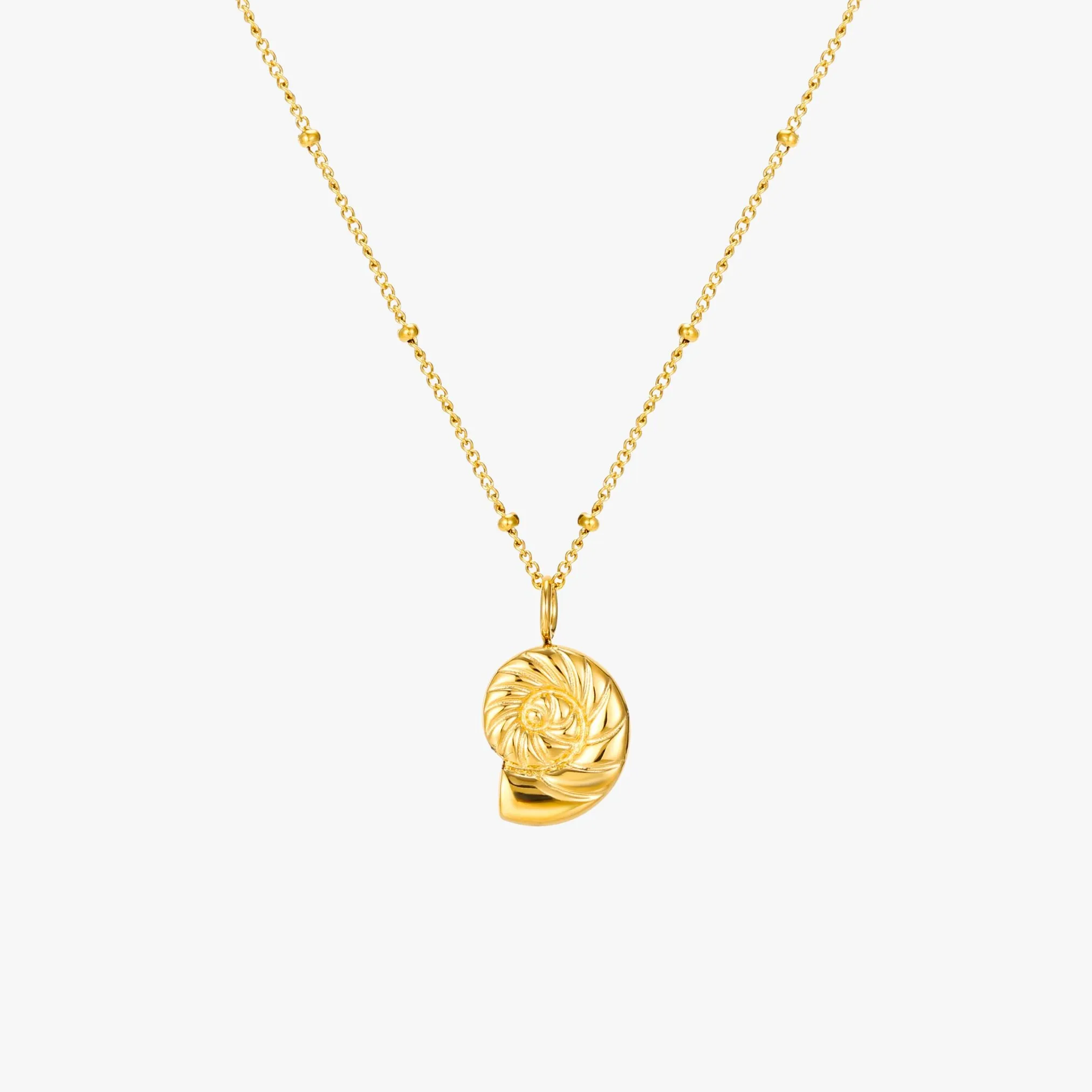 Nautilus Necklace