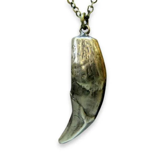 Wolf Tooth Necklace